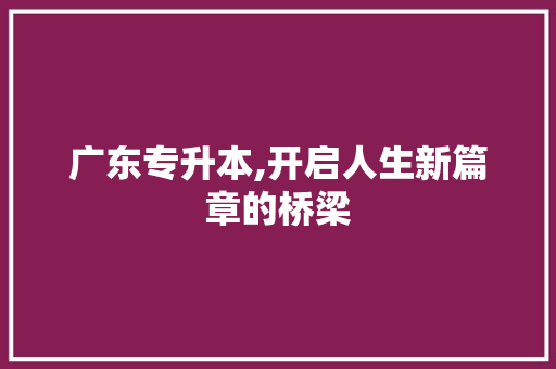 广东专升本,开启人生新篇章的桥梁