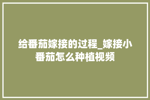 给番茄嫁接的过程_嫁接小番茄怎么种植视频
