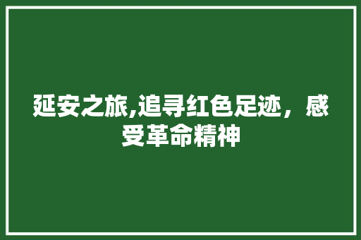 延安之旅,追寻红色足迹，感受革命精神
