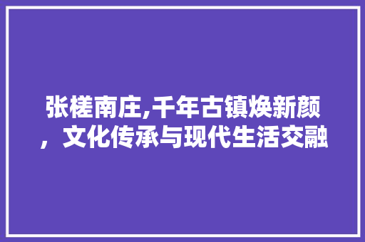 张槎南庄,千年古镇焕新颜，文化传承与现代生活交融
