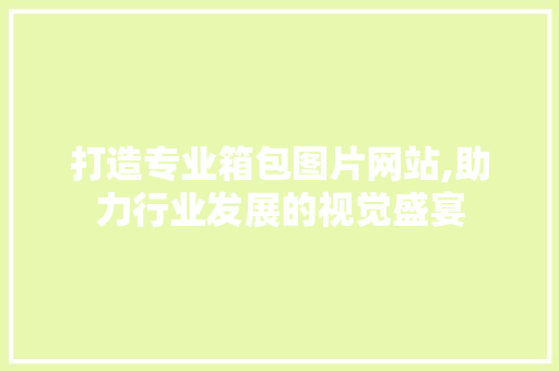 打造专业箱包图片网站,助力行业发展的视觉盛宴
