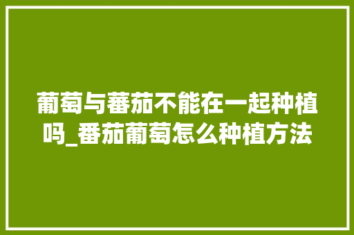 葡萄与蕃茄不能在一起种植吗_番茄葡萄怎么种植方法视频 葡萄与蕃茄不能在一起种植吗_番茄葡萄怎么种植方法视频 农业常识