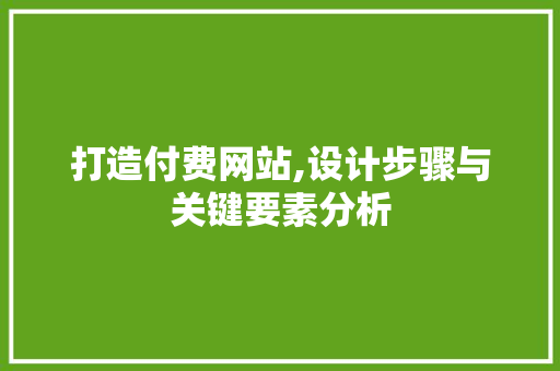 打造付费网站,设计步骤与关键要素分析