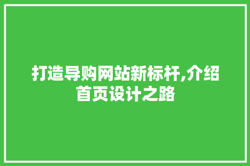 打造导购网站新标杆,介绍首页设计之路