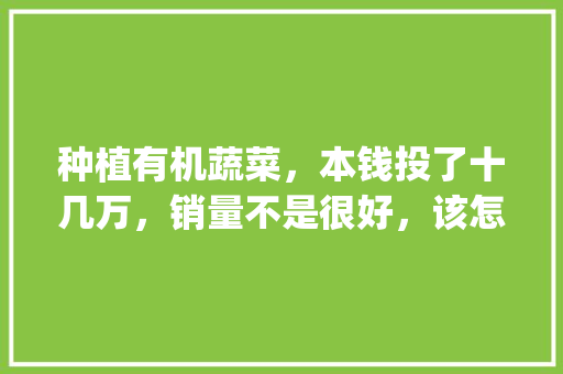 种植有机蔬菜，本钱投了十几万，销量不是很好，该怎么销售才能摆脱困境_蔬菜种植及销售技巧有哪些 种植有机蔬菜，本钱投了十几万，销量不是很好，该怎么销售才能摆脱困境_蔬菜种植及销售技巧有哪些 农业常识