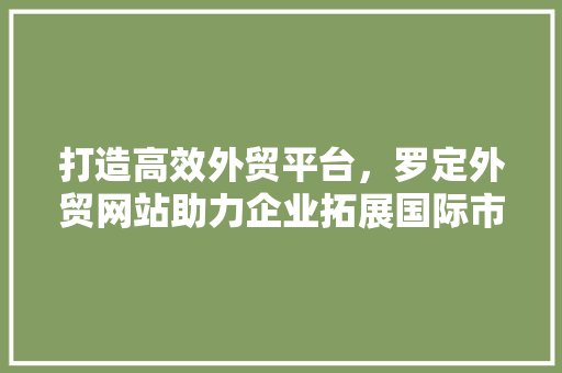 打造高效外贸平台，罗定外贸网站助力企业拓展国际市场