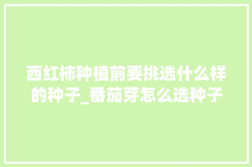 西红柿种植前要挑选什么样的种子_番茄芽怎么选种子种植呢 西红柿种植前要挑选什么样的种子_番茄芽怎么选种子种植呢 番茄种植技巧