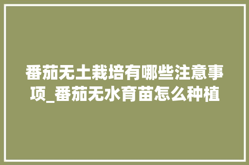 番茄无土栽培有哪些注意事项_番茄无水育苗怎么种植视频 番茄无土栽培有哪些注意事项_番茄无水育苗怎么种植视频 土壤施肥