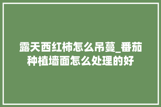 露天西红柿怎么吊蔓_番茄种植墙面怎么处理的好 露天西红柿怎么吊蔓_番茄种植墙面怎么处理的好 植物种类