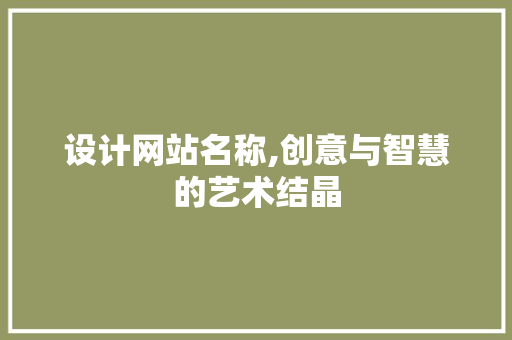 设计网站名称,创意与智慧的艺术结晶