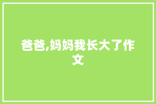 软件设计在网站制作中的核心作用与创新方法 软件设计在网站制作中的核心作用与创新方法 花朵知识