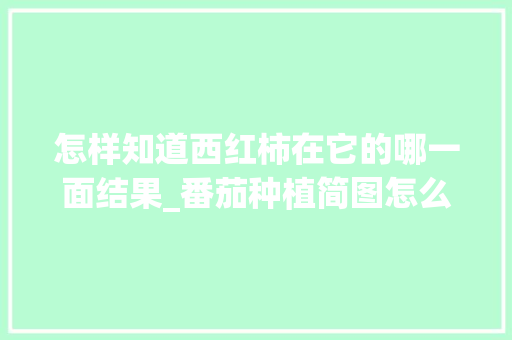 怎样知道西红柿在它的哪一面结果_番茄种植简图怎么画好看又简单 怎样知道西红柿在它的哪一面结果_番茄种植简图怎么画好看又简单 番茄种植技巧