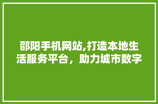 邵阳手机网站,打造本地生活服务平台，助力城市数字化转型