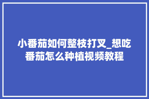 小番茄如何整枝打叉_想吃番茄怎么种植视频教程