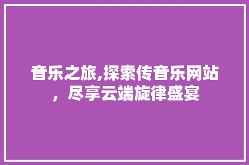 音乐之旅,探索传音乐网站，尽享云端旋律盛宴