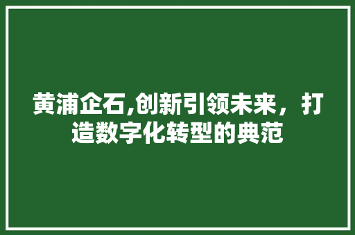 黄浦企石,创新引领未来，打造数字化转型的典范 黄浦企石,创新引领未来，打造数字化转型的典范 番茄病虫害防治