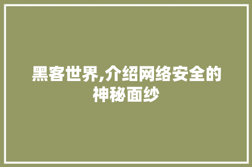 黑客世界,介绍网络安全的神秘面纱