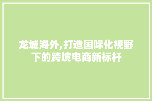 龙城海外,打造国际化视野下的跨境电商新标杆