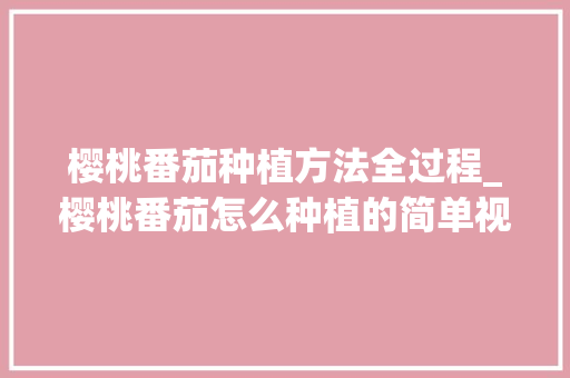 樱桃番茄种植方法全过程_樱桃番茄怎么种植的简单视频 樱桃番茄种植方法全过程_樱桃番茄怎么种植的简单视频 农业常识