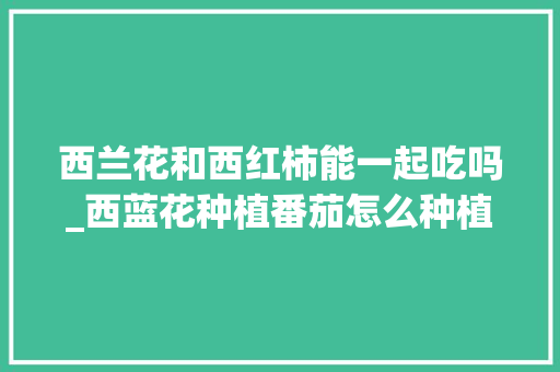 西兰花和西红柿能一起吃吗_西蓝花种植番茄怎么种植的 西兰花和西红柿能一起吃吗_西蓝花种植番茄怎么种植的 番茄病虫害防治