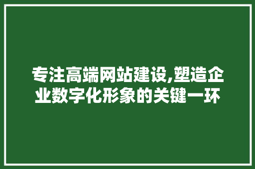 专注高端网站建设,塑造企业数字化形象的关键一环