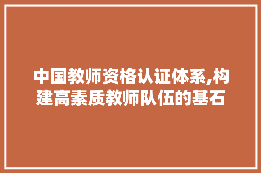 中国教师资格认证体系,构建高素质教师队伍的基石