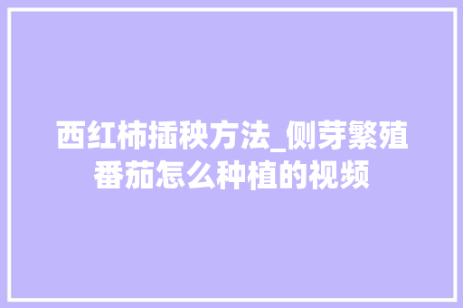 西红柿插秧方法_侧芽繁殖番茄怎么种植的视频