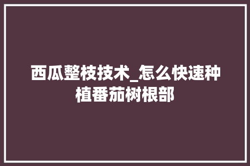 西瓜整枝技术_怎么快速种植番茄树根部 番茄病虫害防治 西瓜整枝技术_怎么快速种植番茄树根部 西瓜整枝技术_怎么快速种植番茄树根部 番茄病虫害防治