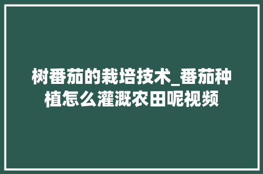 树番茄的栽培技术_番茄种植怎么灌溉农田呢视频