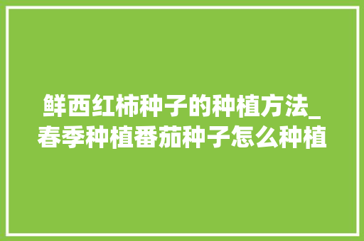鲜西红柿种子的种植方法_春季种植番茄种子怎么种植