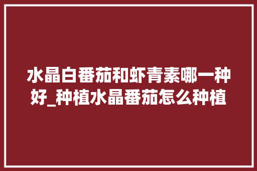 水晶白番茄和虾青素哪一种好_种植水晶番茄怎么种植 水晶白番茄和虾青素哪一种好_种植水晶番茄怎么种植 农业常识