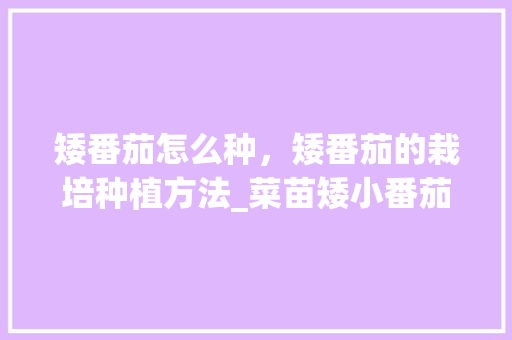 矮番茄怎么种，矮番茄的栽培种植方法_菜苗矮小番茄怎么种植视频