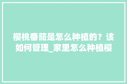 樱桃番茄是怎么种植的？该如何管理_家里怎么种植樱桃番茄苗视频
