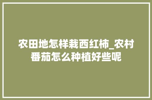 农田地怎样栽西红柿_农村番茄怎么种植好些呢 农田地怎样栽西红柿_农村番茄怎么种植好些呢 种植技巧