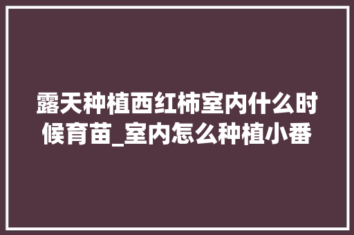 露天种植西红柿室内什么时候育苗_室内怎么种植小番茄视频 露天种植西红柿室内什么时候育苗_室内怎么种植小番茄视频 番茄种植技巧