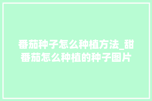 番茄种子怎么种植方法_甜番茄怎么种植的种子图片 番茄种子怎么种植方法_甜番茄怎么种植的种子图片 土壤施肥