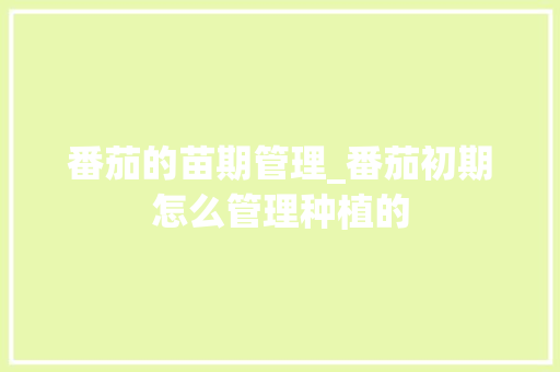番茄的苗期管理_番茄初期怎么管理种植的