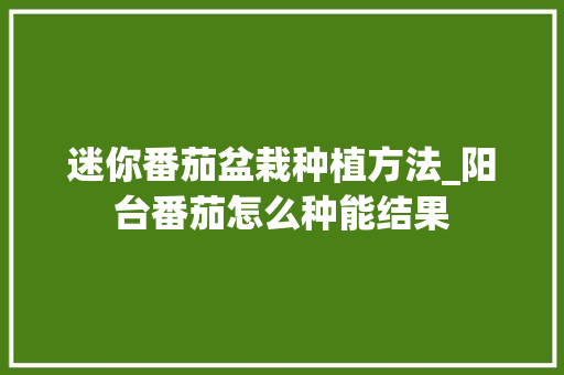 迷你番茄盆栽种植方法_阳台番茄怎么种能结果