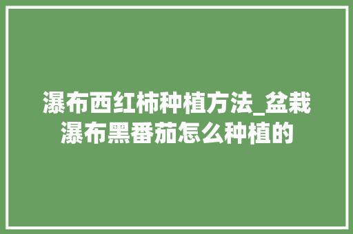 瀑布西红柿种植方法_盆栽瀑布黑番茄怎么种植的 瀑布西红柿种植方法_盆栽瀑布黑番茄怎么种植的 番茄种植技巧