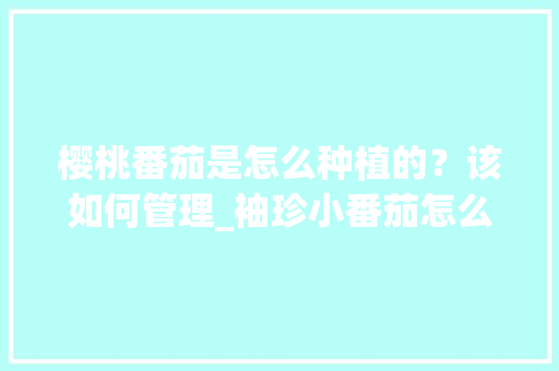 樱桃番茄是怎么种植的？该如何管理_袖珍小番茄怎么种植方法视频