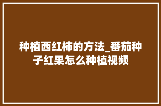 种植西红柿的方法_番茄种子红果怎么种植视频 种植西红柿的方法_番茄种子红果怎么种植视频 种植技巧