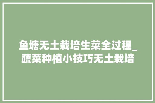 鱼塘无土栽培生菜全过程_蔬菜种植小技巧无土栽培 鱼塘无土栽培生菜全过程_蔬菜种植小技巧无土栽培 花朵知识
