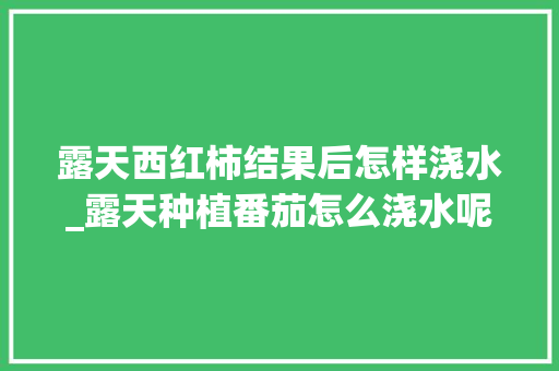露天西红柿结果后怎样浇水_露天种植番茄怎么浇水呢 露天西红柿结果后怎样浇水_露天种植番茄怎么浇水呢 番茄种植技巧