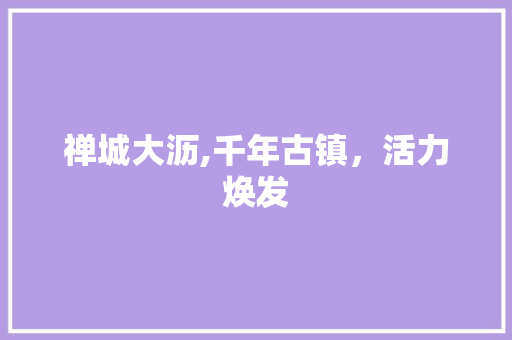 禅城大沥,千年古镇，活力焕发