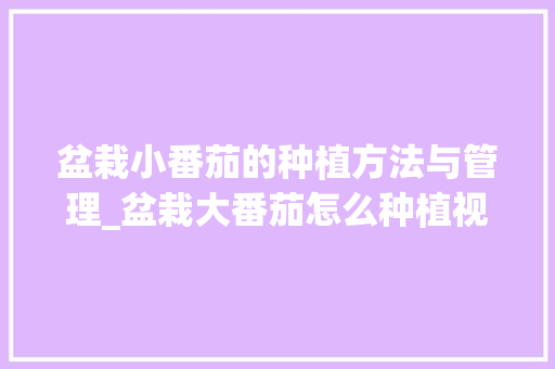 盆栽小番茄的种植方法与管理_盆栽大番茄怎么种植视频 盆栽小番茄的种植方法与管理_盆栽大番茄怎么种植视频 植物种类