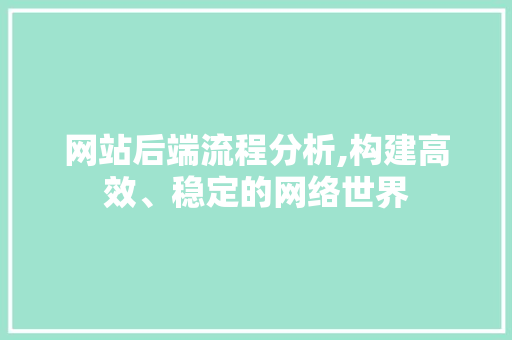 网站后端流程分析,构建高效、稳定的网络世界