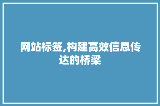 网站标签,构建高效信息传达的桥梁