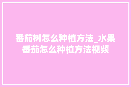 番茄树怎么种植方法_水果番茄怎么种植方法视频 番茄树怎么种植方法_水果番茄怎么种植方法视频 种植技巧