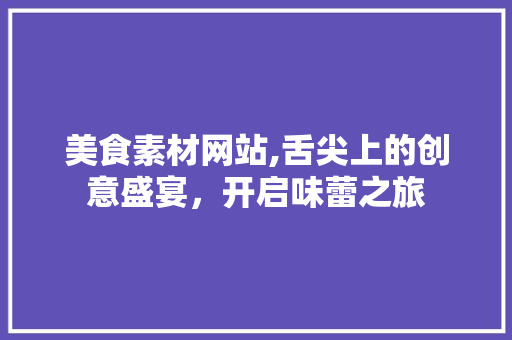 美食素材网站,舌尖上的创意盛宴，开启味蕾之旅