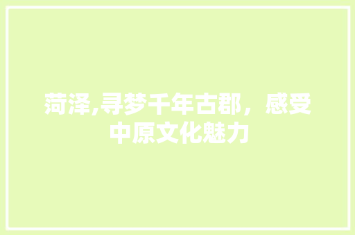 菏泽,寻梦千年古郡，感受中原文化魅力